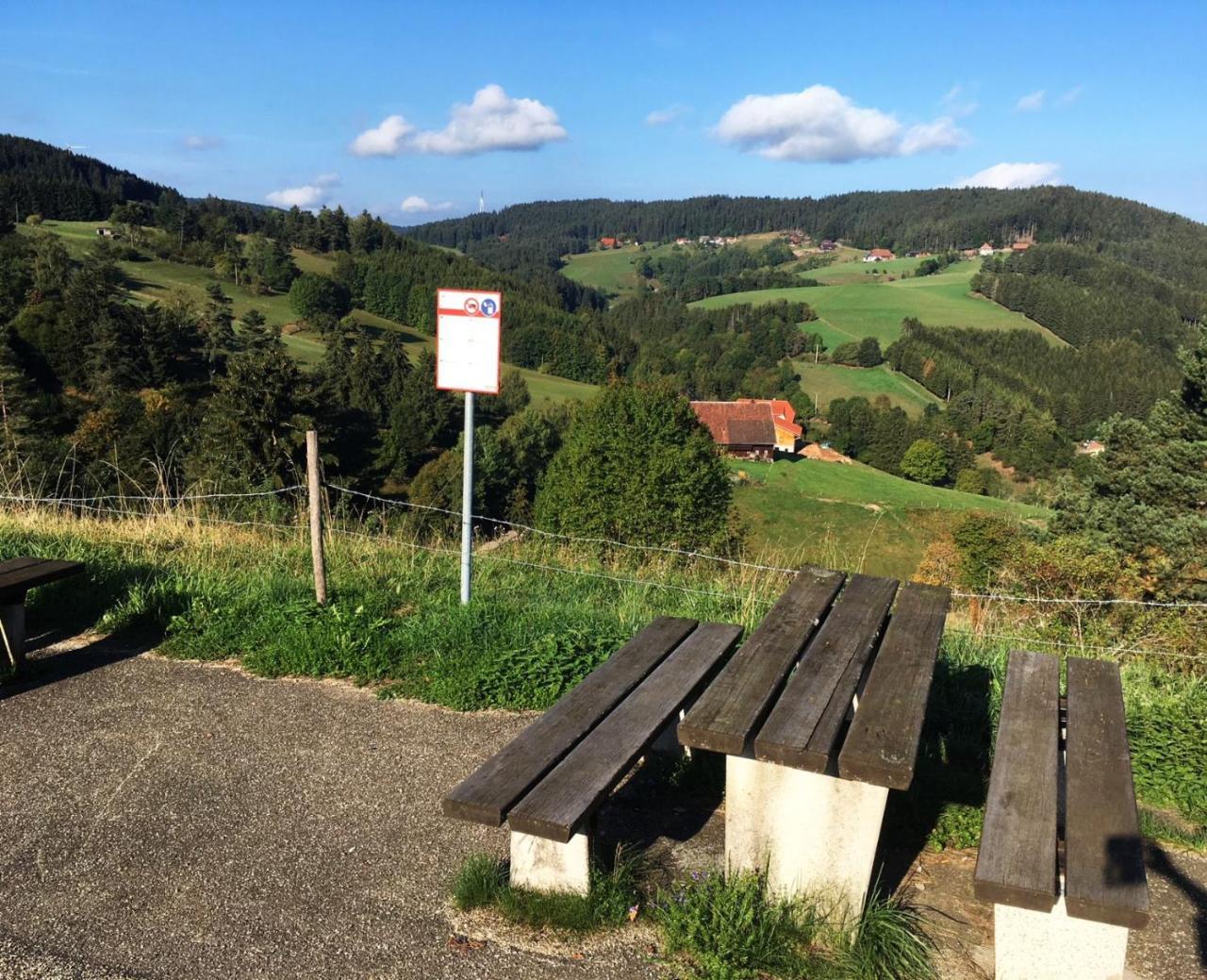 Schwarzwaldgasthaus Linde Hotel Schramberg Exterior foto